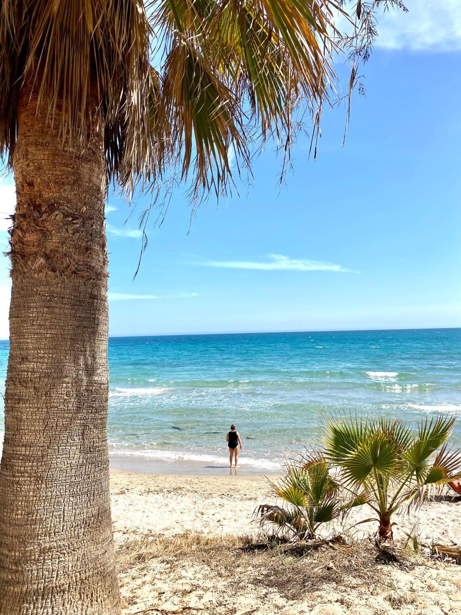 Feriehus Alicante Torrevieja Bagian luar foto